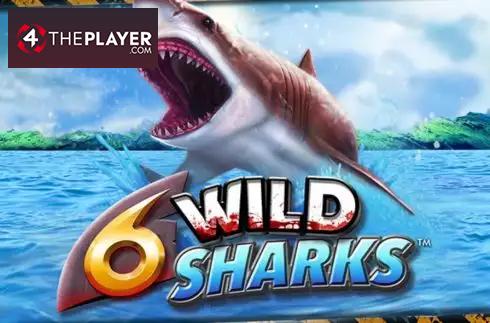 6 Wild Sharks